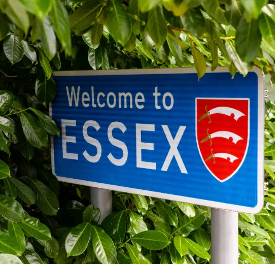 picture of Essex sineage